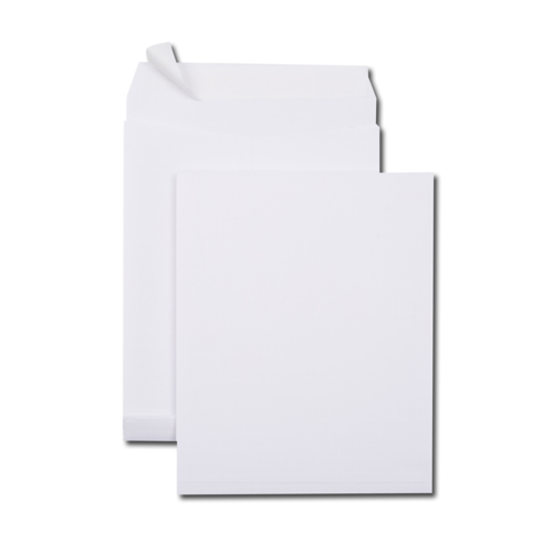 Boite de 250 sacs à soufflets kraft armé blanc 24 260x330 130 g/m² bande de protection PEFC