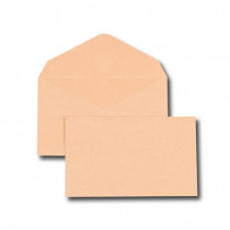 GPV 2946 Boîte de 500 enveloppes élection 75 g/m² Format Bleu 90x140 mm